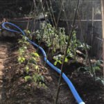 tutores para plantas