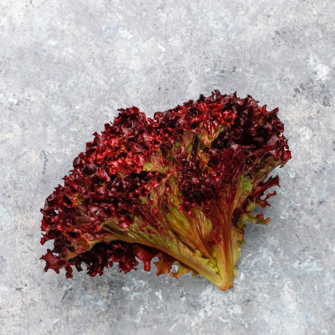 Lechuga Batavia roja