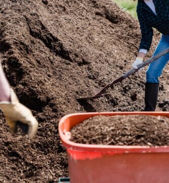 como hacer compost en casa