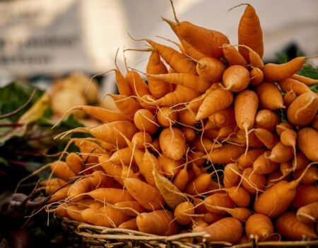 hortalizas de otoño