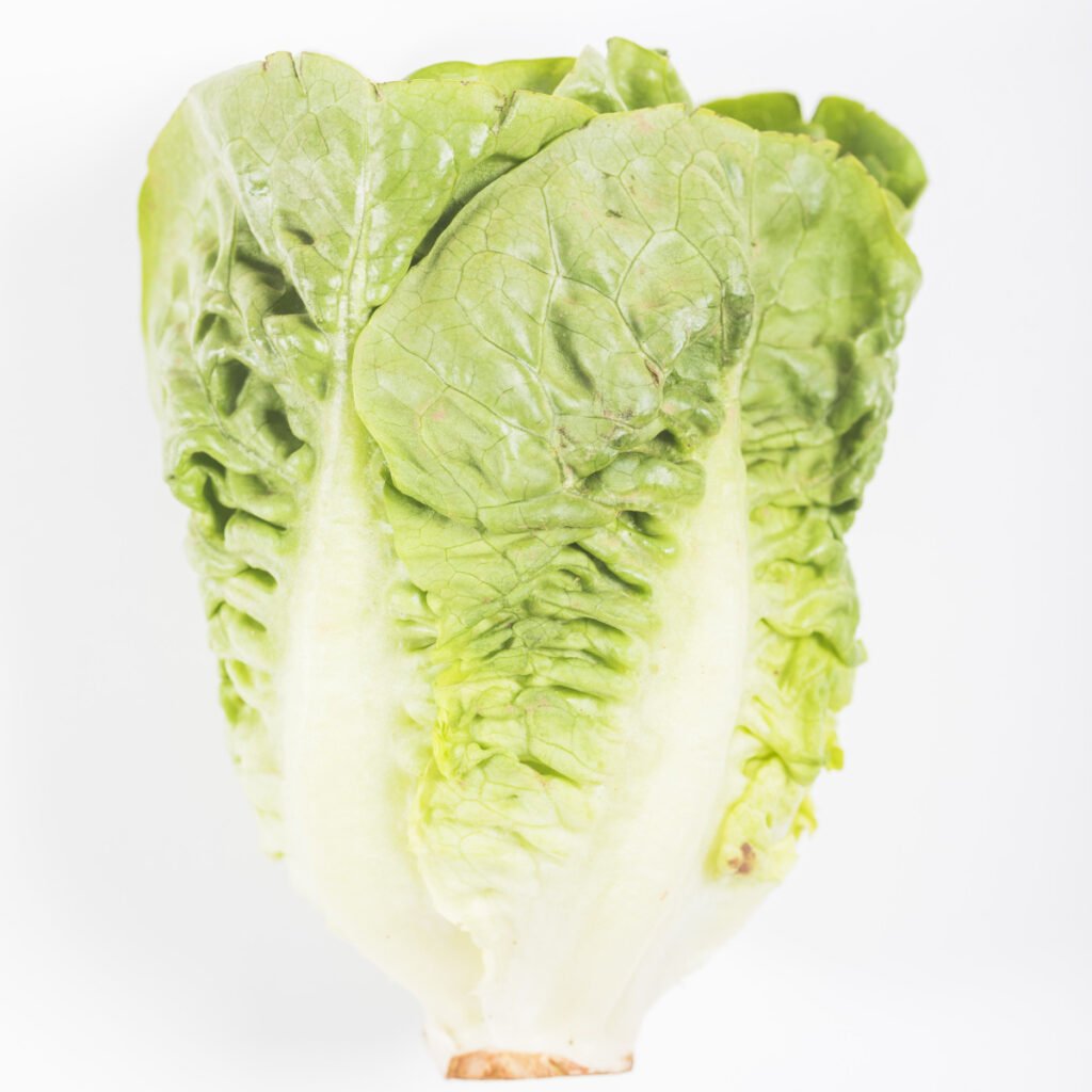 Lechuga romana