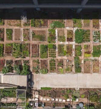 qué es un huerto urbano