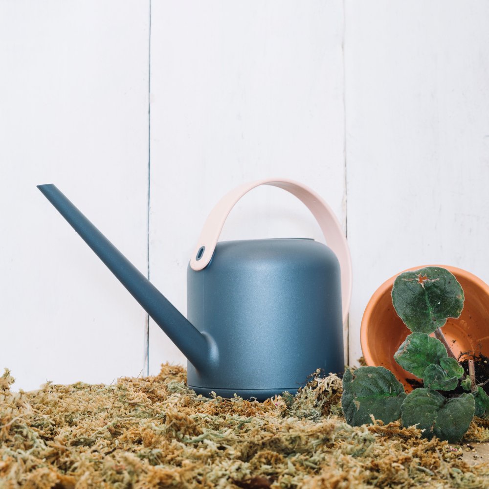 Herramientas para hacer una huerta en casa