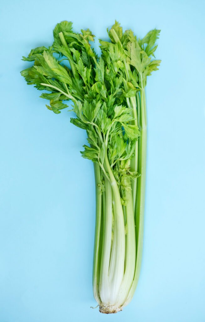 como cultivar apio en maceta