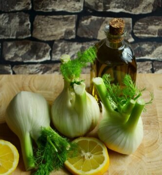 como cultivar hinojo en maceta