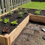 cómo hacer un huerto desde cero