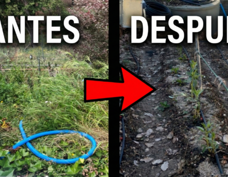 Cómo hacer un huerto en el jardín