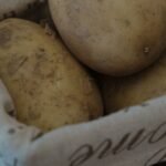 cultivo de patatas