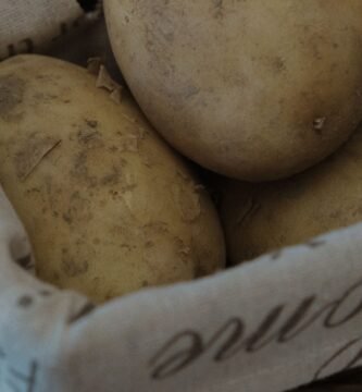 cultivo de patatas