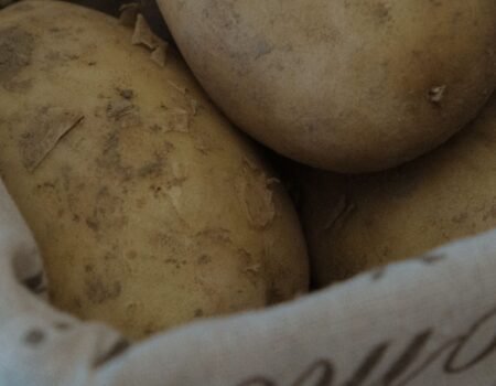 cultivo de patatas